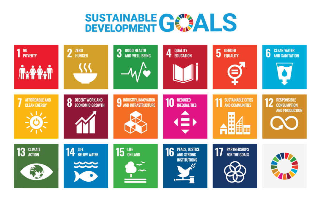 Nachhaltigkeit in der Bauwirtschaft: Ein Leitfaden zu SDGs, ESG-Richtlinien und der EU-Taxonomie