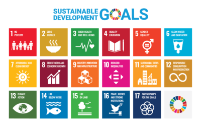 Nachhaltigkeit in der Bauwirtschaft: Ein Leitfaden zu SDGs, ESG-Richtlinien und der EU-Taxonomie